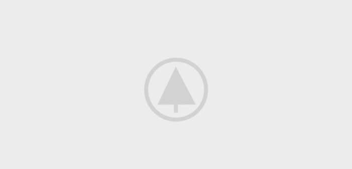 wood-gallery-placeholder-4 wood-gallery-placeholder-4